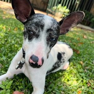 Meet your Posher, Lourdes